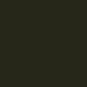 Gama-de-colores-techos-de-metal-infinity-safety-homes-eglert-18.png